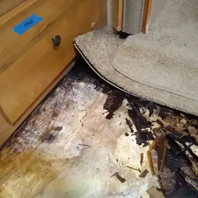 Best Wood Floor Water Damage Service in Forreston, IL